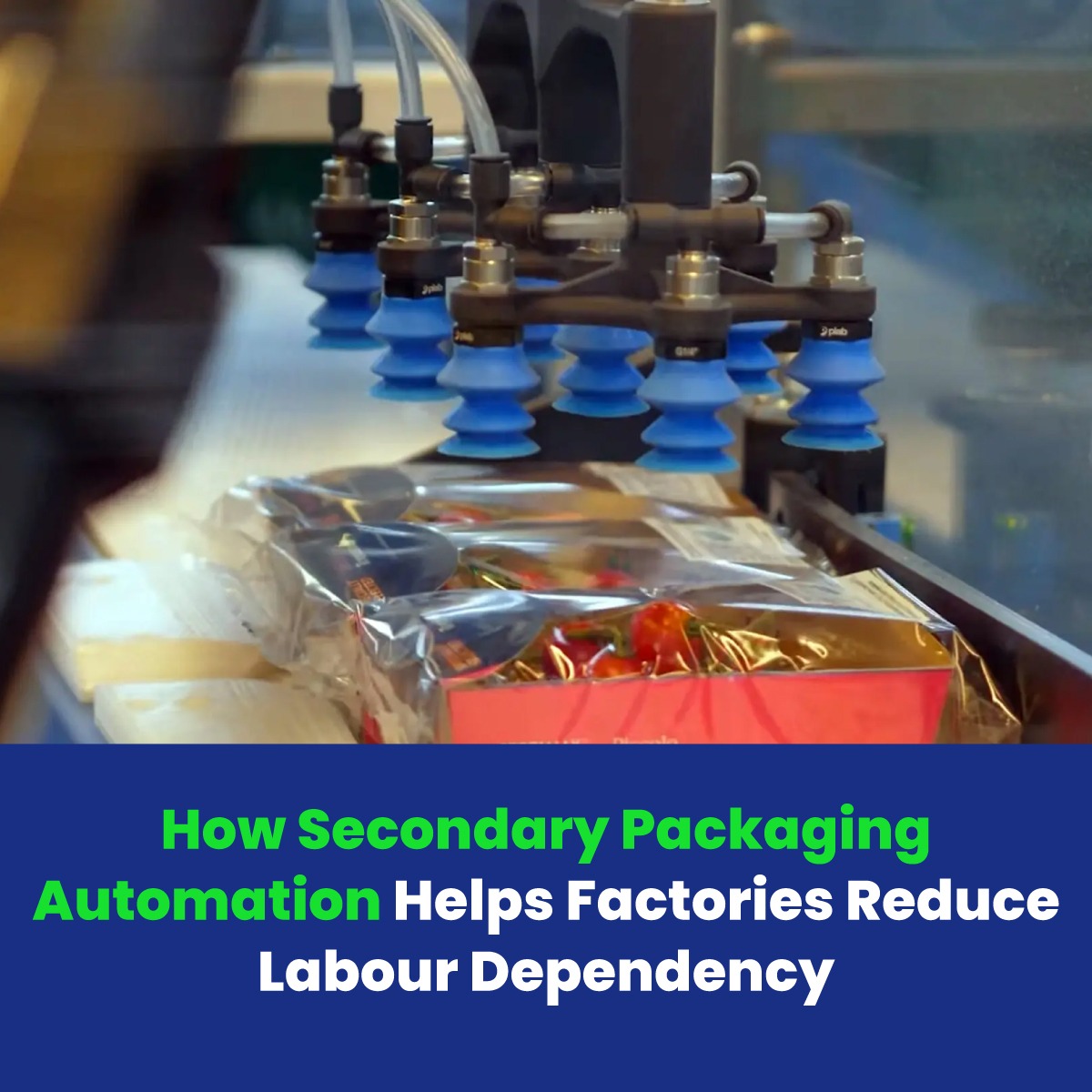 How Secondary Packaging Automation Helps Factories Reduce Labour Dependency